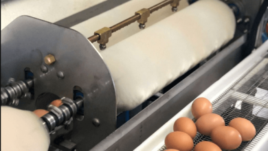 egg cleaning machine