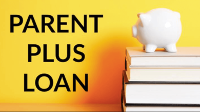 what is a plus loan