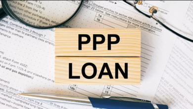 what is the ppp loan